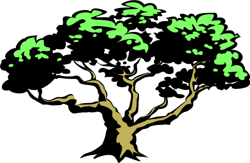 Church Picnic Sunday, October (800x523), Png Download