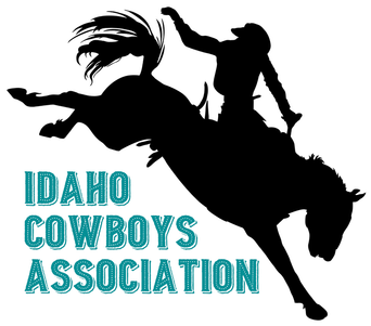 Picture - Idaho (386x336), Png Download