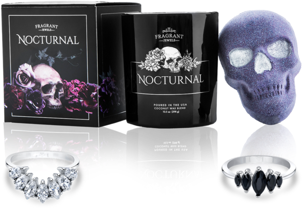 The Nocturnal Collection - Skull (600x480), Png Download