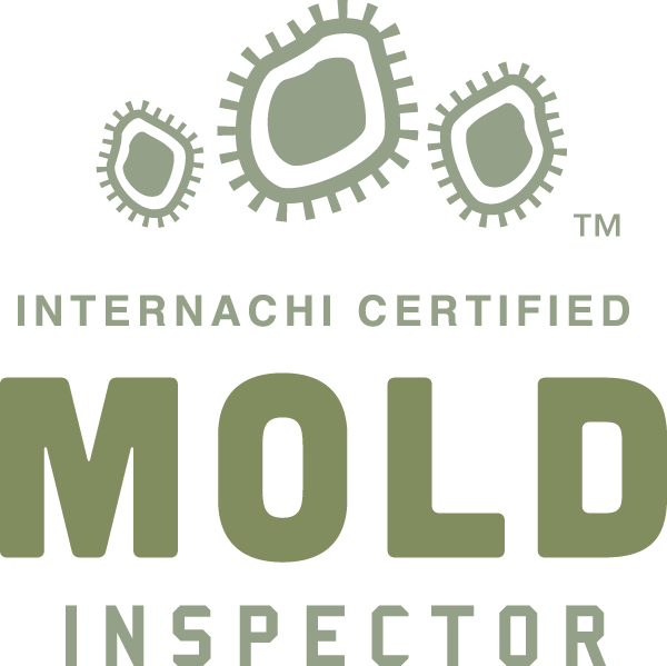 Mold Inspection And Testing Internachi Certified - Internachi Mold Inspector (600x599), Png Download