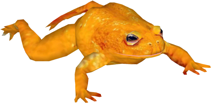 Posted Image - Golden Toad (718x718), Png Download
