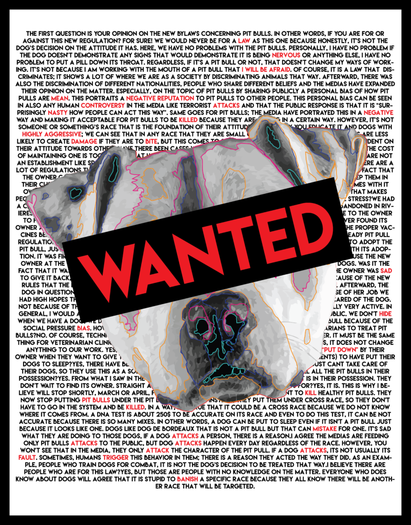 Amanda Usypchuk - Pug (801x1024), Png Download