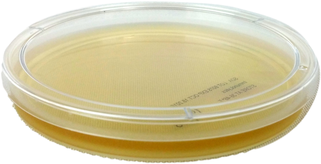 Bangle (1200x801), Png Download