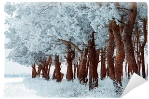 Winter Forest With Frost On The Trees And Snowflakes - Snow Bridge (400x400), Png Download