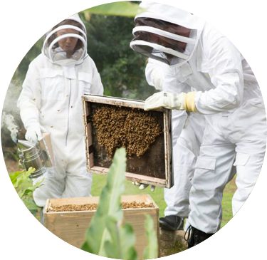 There Has To Be A Better Way - Beehive Design Australia (400x400), Png Download