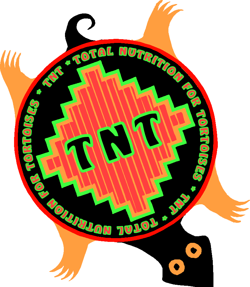 Tnt Total Nutrition For Tortoises 8 Ounces Free Shipping - Tnt Tortoise (800x916), Png Download