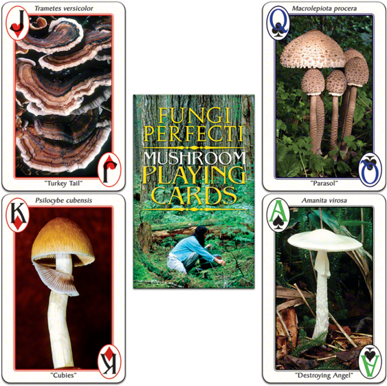 Fp's Original Mushroom Playing Cards - Playing Card (700x700), Png Download