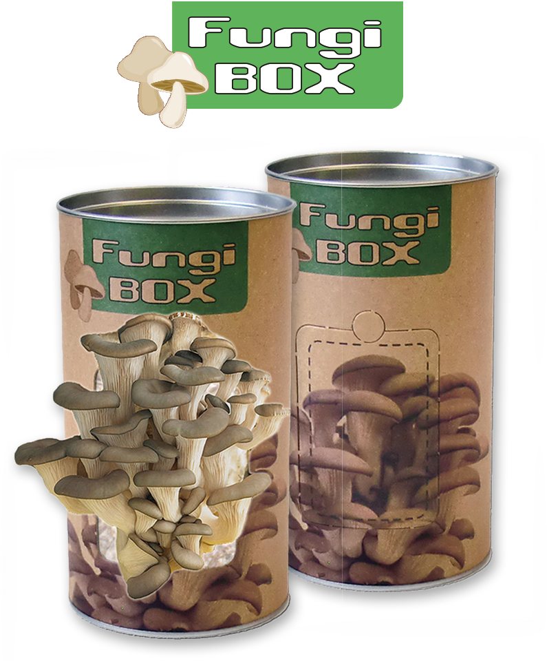 Feel Green Fungi Box - Züchte Deine Eigenen Speisepilze (799x1000), Png Download