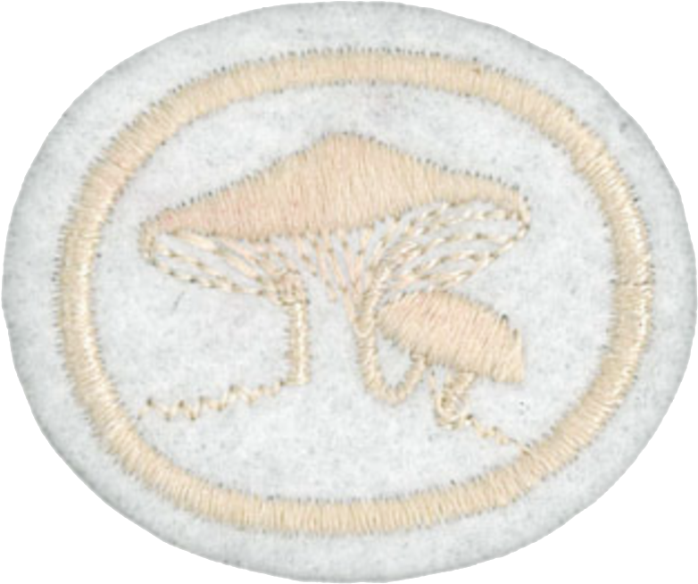 Fungi Honor - Needlework (792x662), Png Download