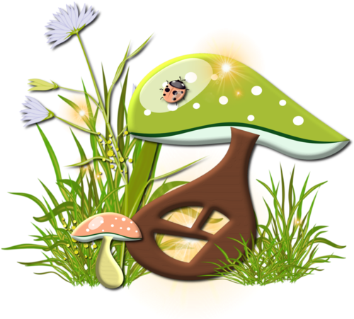 Champignons - Page - Mushroom (600x450), Png Download