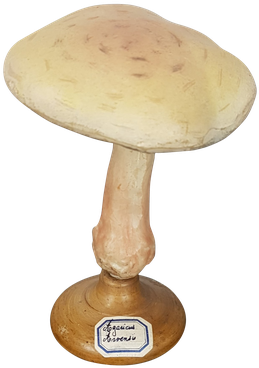 Three Fungi Sculptures - Penny Bun (300x400), Png Download