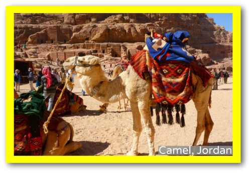 3-part Cards Of The 7 Continents - Petra (500x345), Png Download