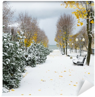 Snow Storm Wall Mural • Pixers® • We Live To Change - Storm (400x400), Png Download