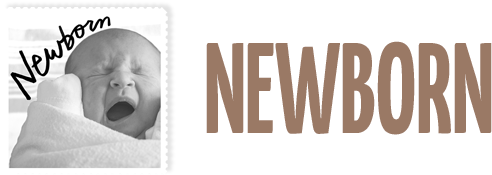 Newborn-header - Lille Menneskebarn [book] (659x212), Png Download