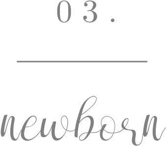 3 Newborn - Portable Network Graphics (960x395), Png Download