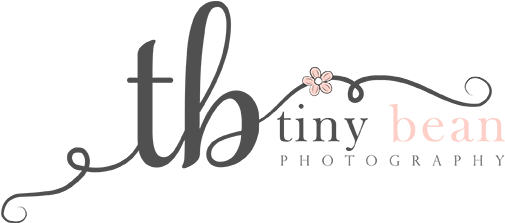 Newborn And Baby Photography - Pennsylvania (554x244), Png Download