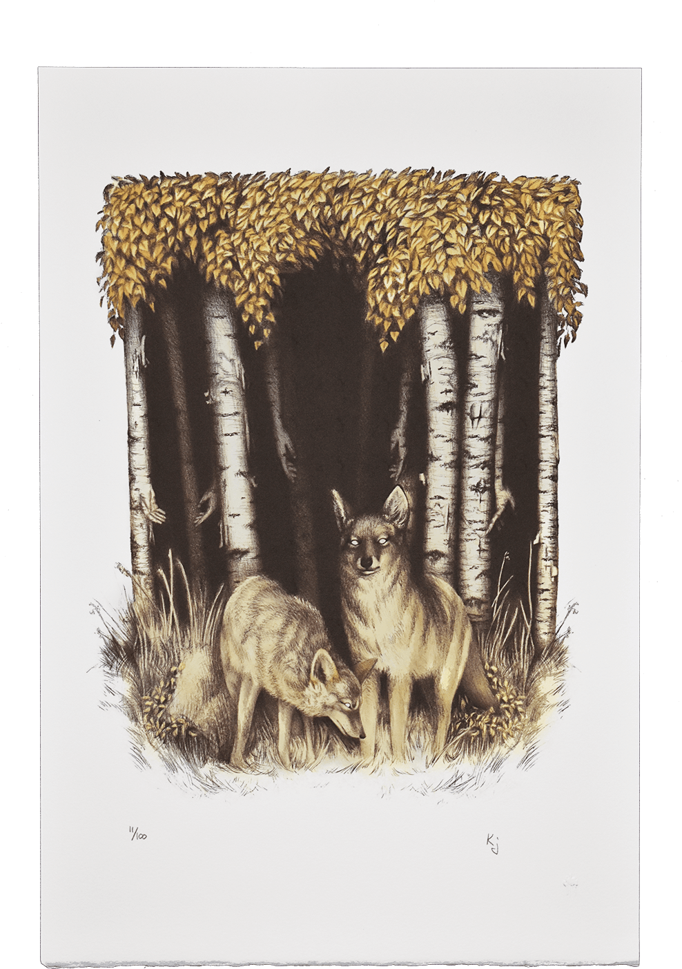 Coyote And Birch - Jackal (1000x1523), Png Download