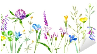 Buttercup, Grass,lobelia,spike - White Background Grass Flower (400x400), Png Download
