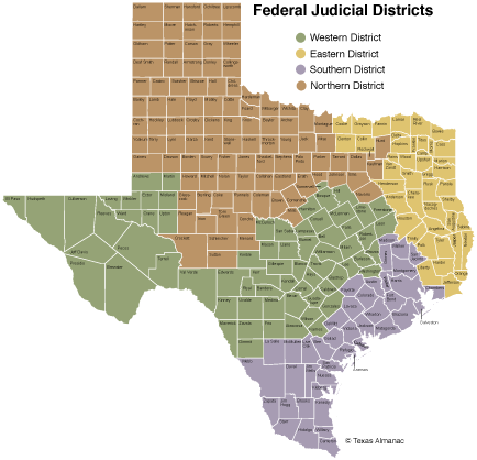 Texas Senate Election Day (450x433), Png Download