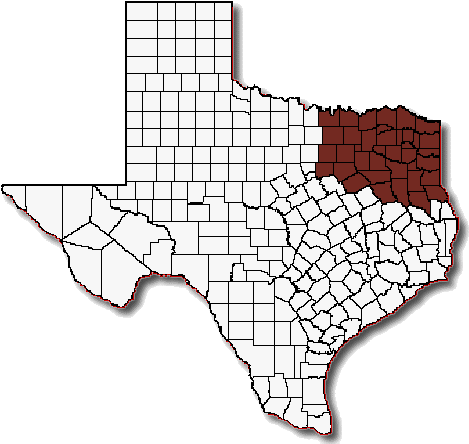 Texas-map - Texas Counties Svg (541x461), Png Download