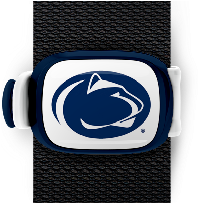 Penn State Nittany Lions Stwrap - White Penn State Flag (550x400), Png Download
