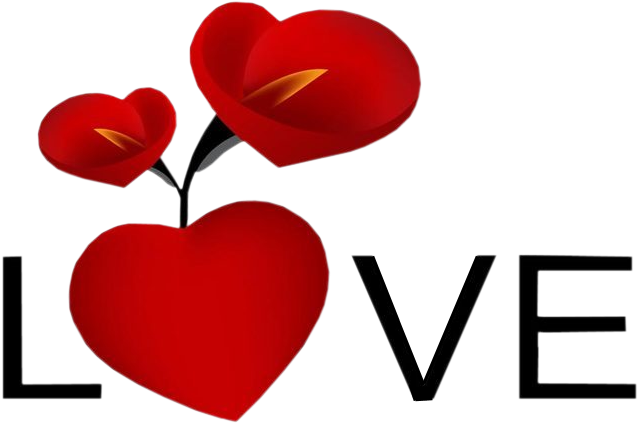 Valentine Day Special For Download (800x600), Png Download