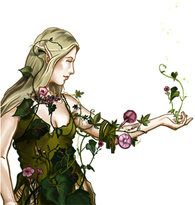 Druid Portrait - Elvish Druid (410x410), Png Download