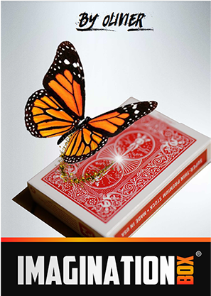 61365-full - Imagination Box By Olivier Pont (740x416), Png Download