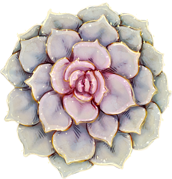 [g] Succ Glitter - Echeveria (675x704), Png Download