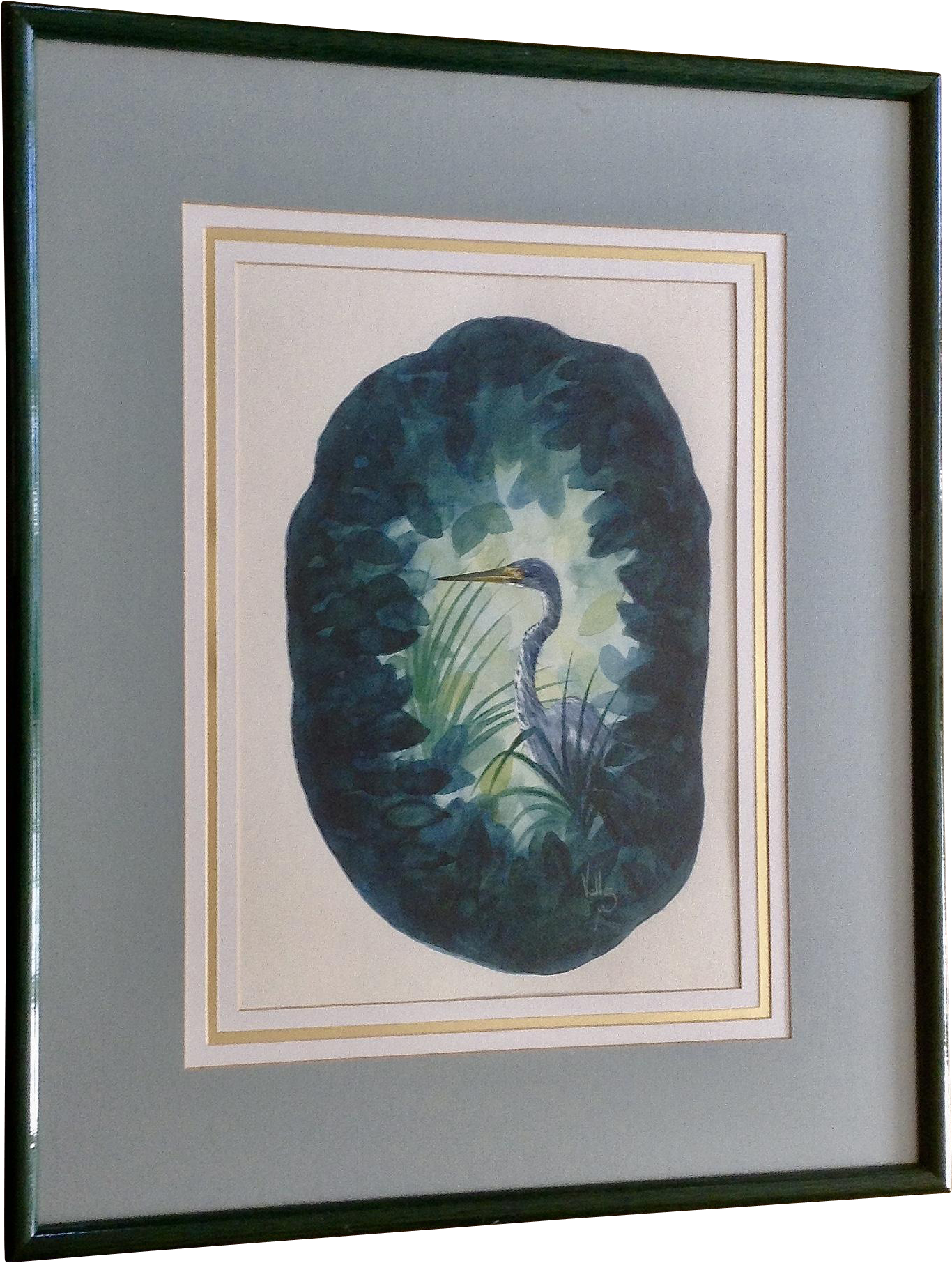 Jerry Vallez, Tri Colored Great Blue Heron Bird Watercolor - Jerry Vallez Studio (1811x1811), Png Download