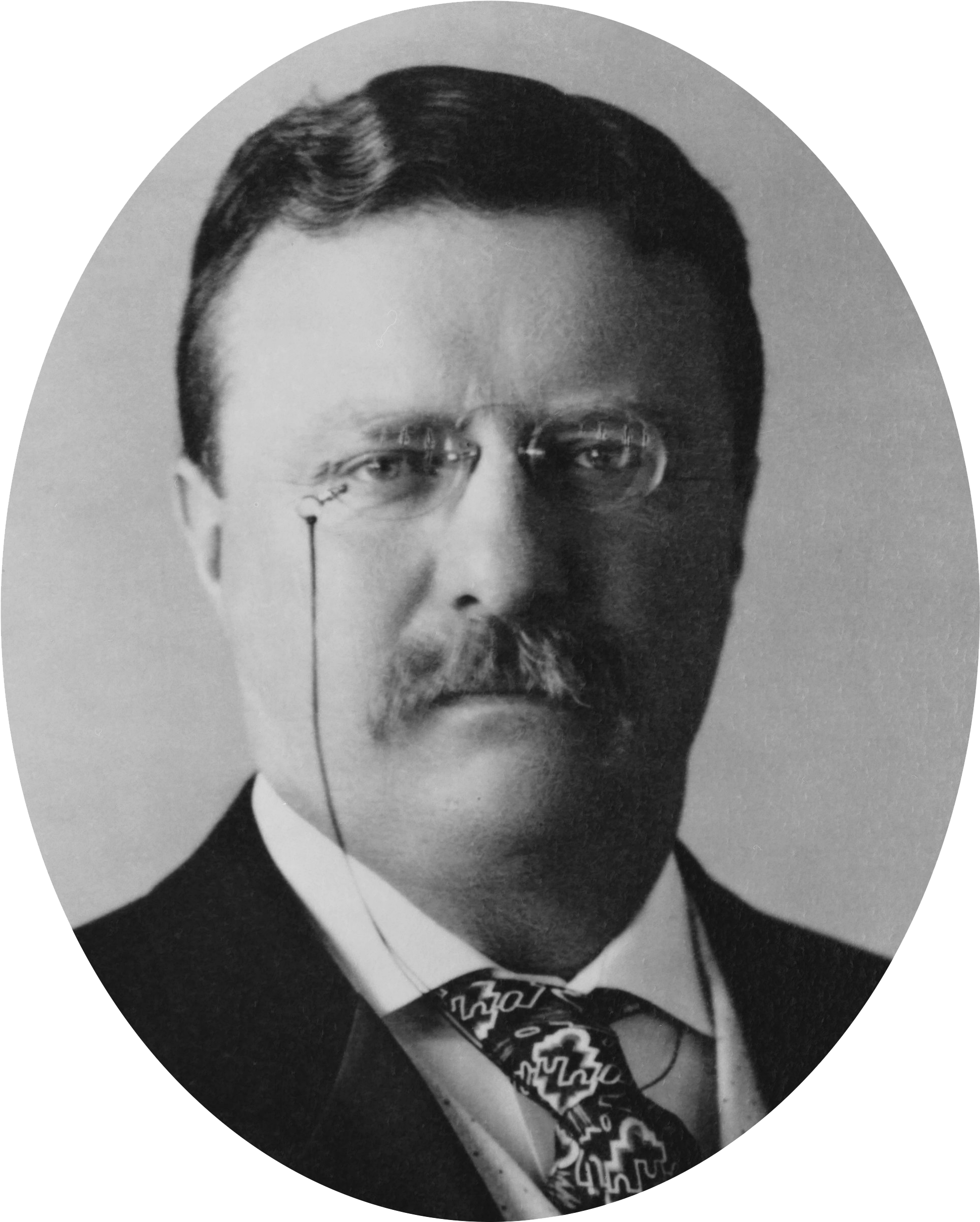 Theodore Roosevelt Oval - Bullet Can T Stop A Bull Moose (1961x2446), Png Download