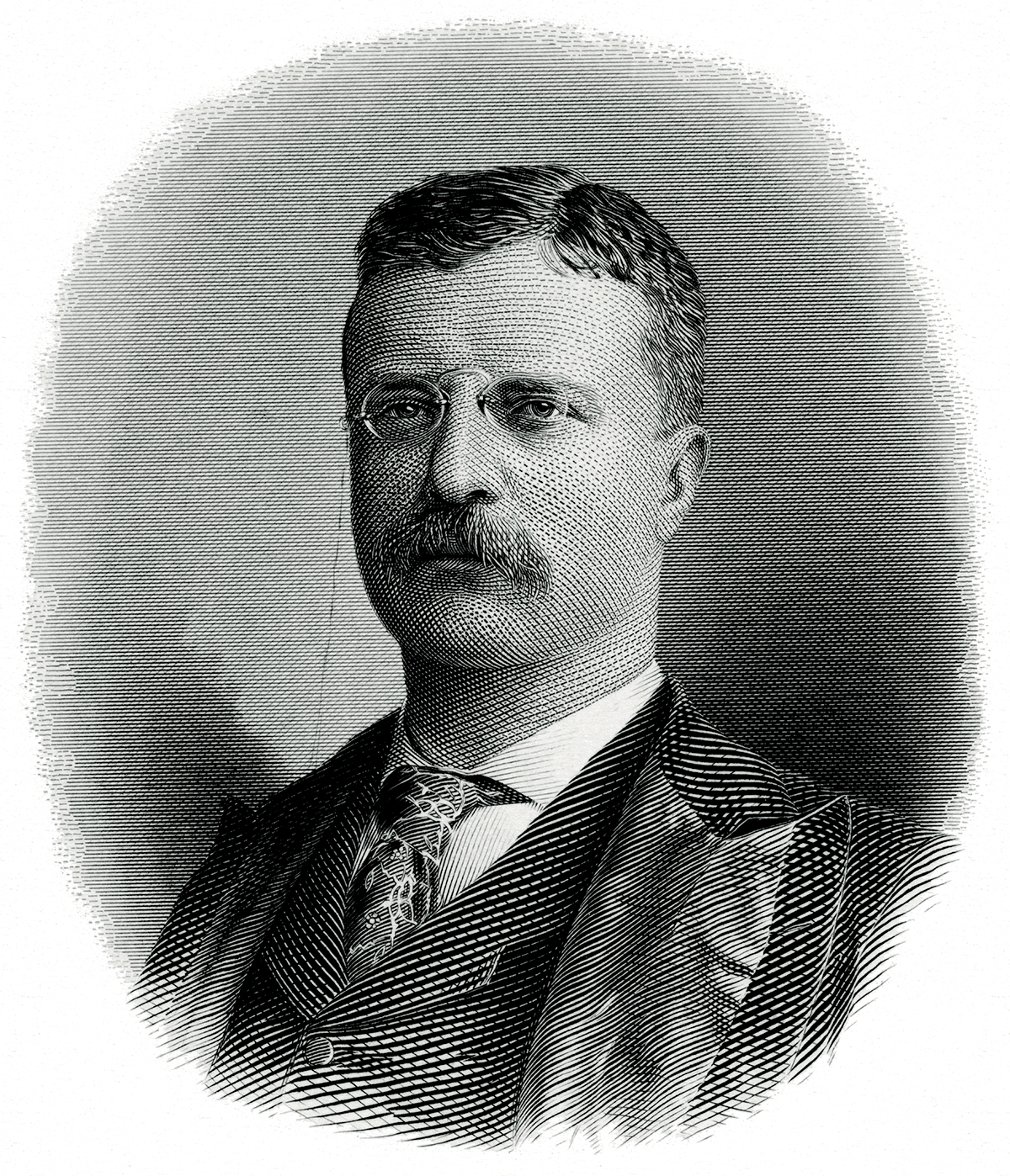 President Theodore Roosevelt - Theodore Roosevelt New York Governor (1200x1398), Png Download