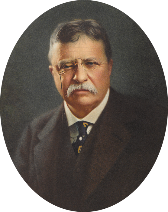 Bleed Area May Not Be Visible - Theodore Roosevelt (556x700), Png Download