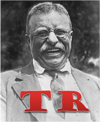 Theodore Roosevelt Takes Office - Teddy Roosevelt (383x480), Png Download