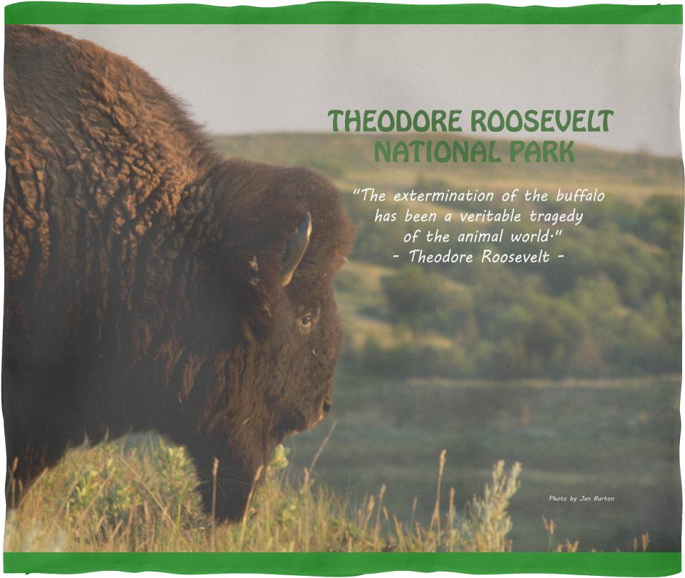 Bison Fleece Blanket - Grass (1024x1024), Png Download