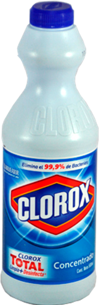 Download Clorox Floor Cleaner Clorox Liquid Bleach Lemon 2 L