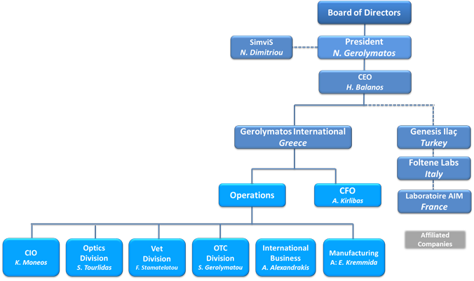 Gerolymatos International's Operating Businesses Are - Structure Of International Companies (676x402), Png Download