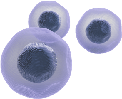 Stemcells - Stem Cells Png (501x430), Png Download