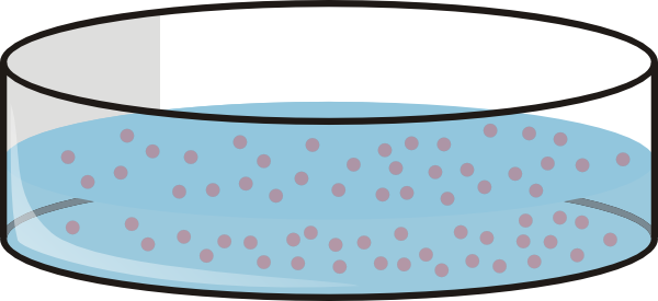 Small - Petri Dish Clip Art (600x275), Png Download