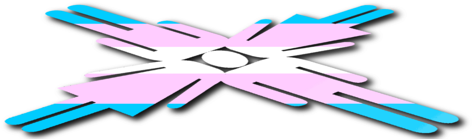 Issues On Reform Of Health And Public Policies To Advance - Transgender (1000x288), Png Download