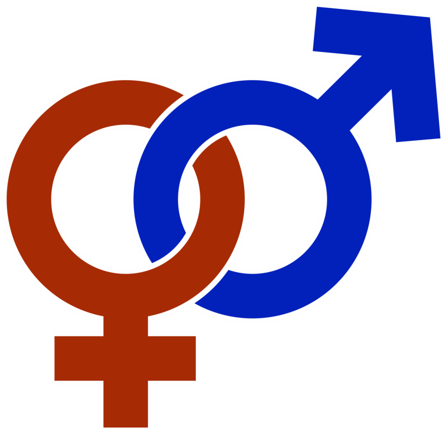 Health Care Discrimination For Transgender People Must - Gender And Development Logo (900x900), Png Download