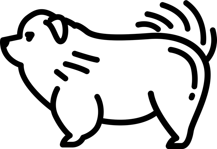 Chow Chow Rubber Stamp (700x480), Png Download