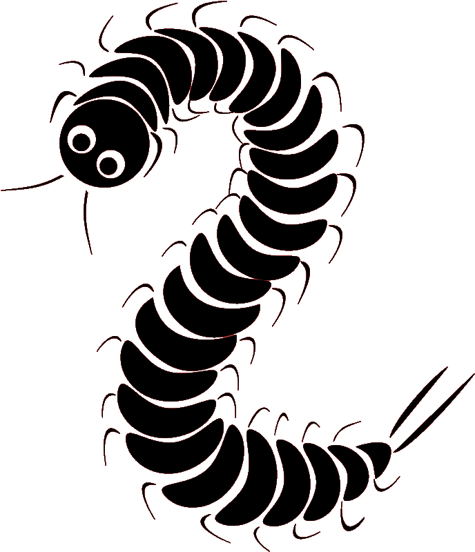 Centipede - School (720x840), Png Download