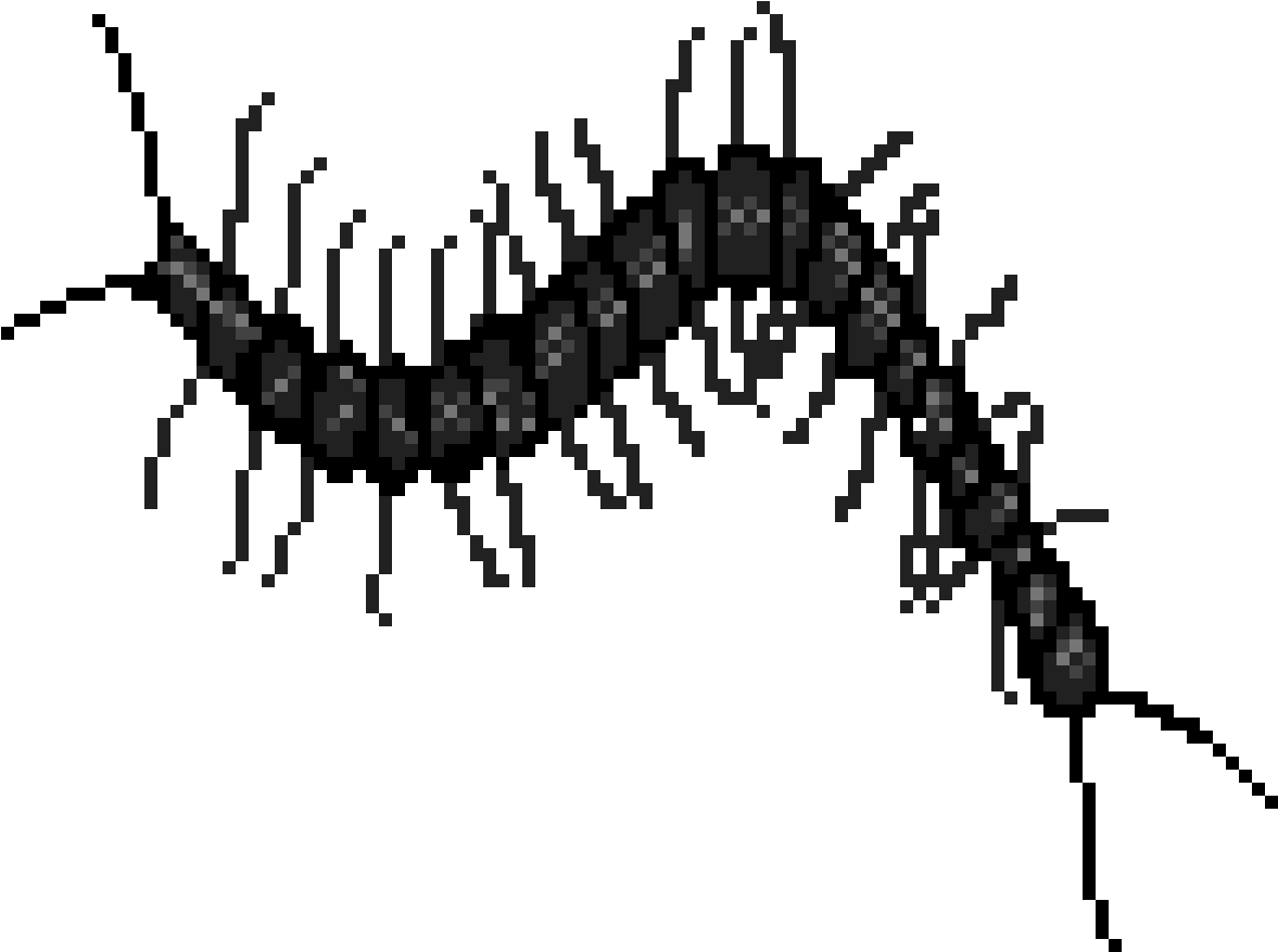Centipede - Insect (1200x1200), Png Download