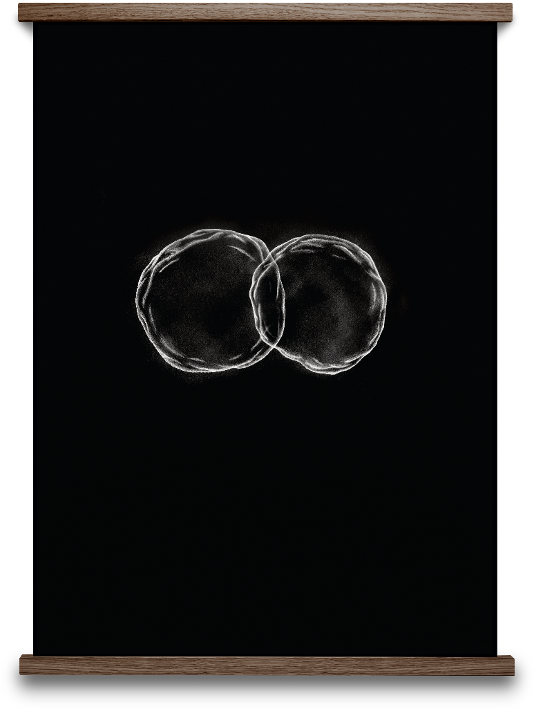 Paper Collective Cells - Black Hrefna 50 X 70 Cm (920x1200), Png Download