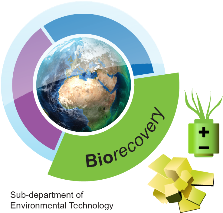 Biorecovery V2 - Fossil Fuel (768x850), Png Download