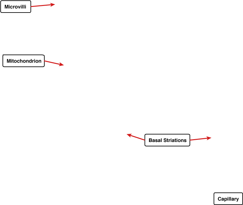 Diagram (1024x768), Png Download