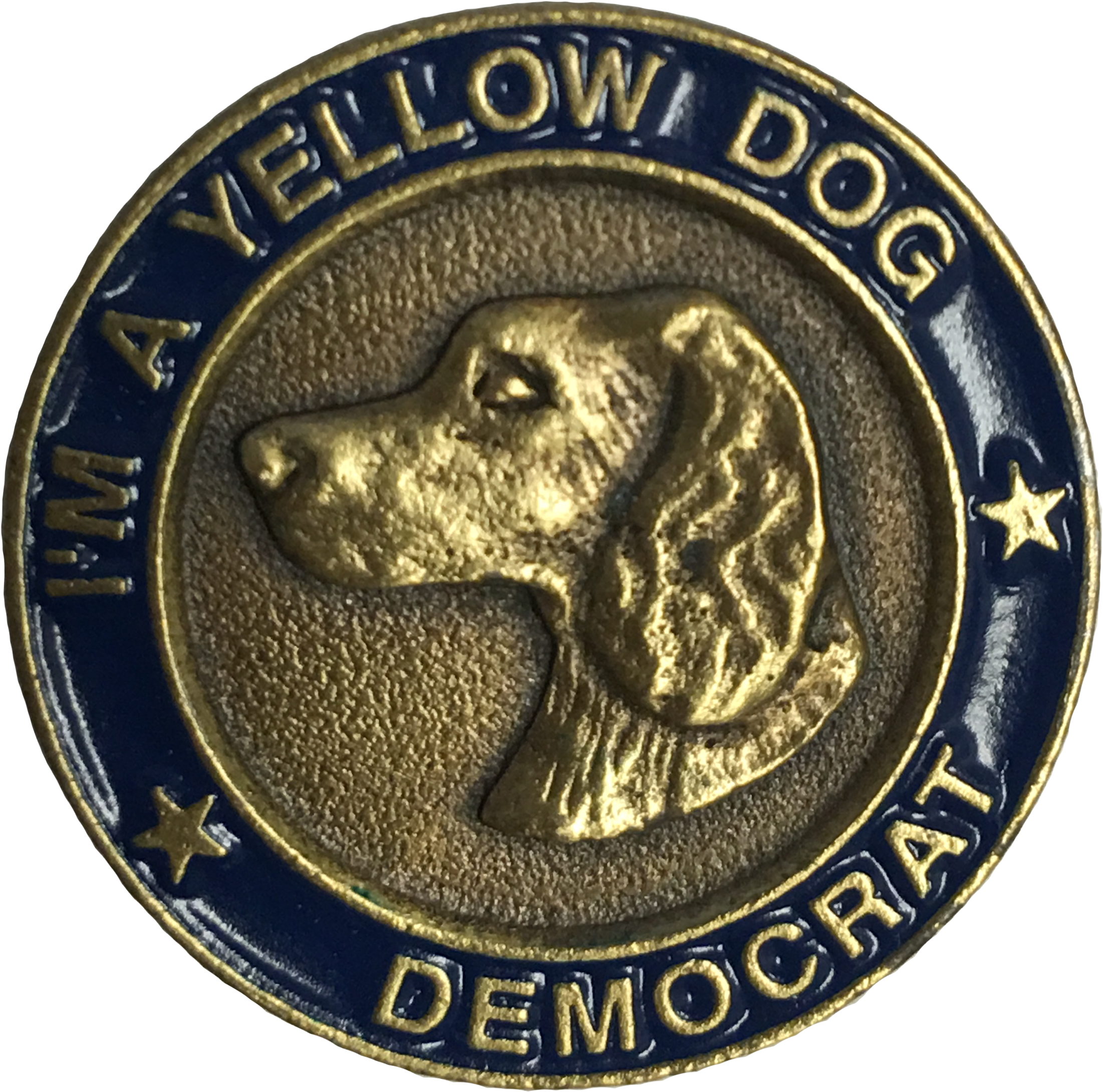 Hunting Dog (3024x2409), Png Download