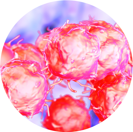 Mesenchymal Stem Cells - Non Hodgkin's Lymphoma Cells (500x500), Png Download