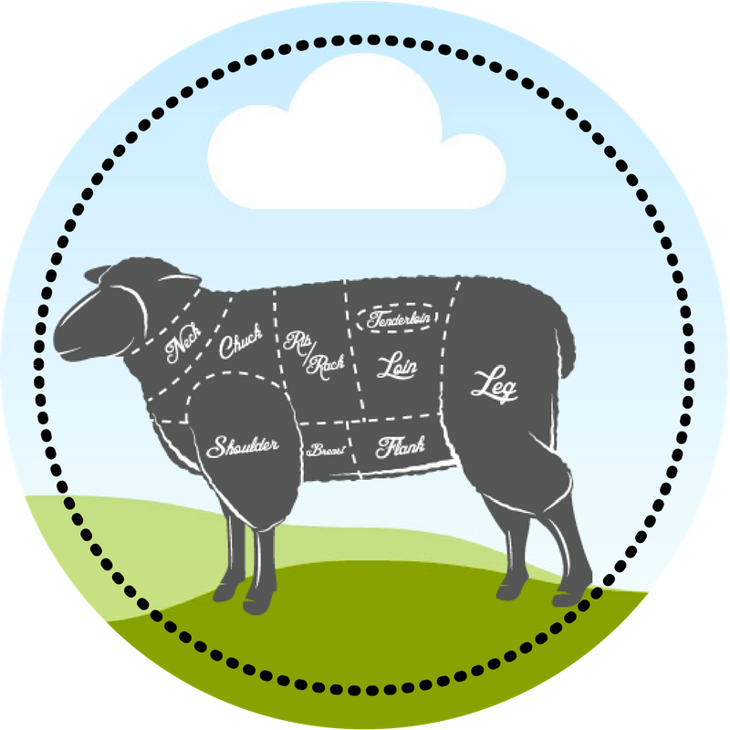 Lamb Circle (800x800), Png Download